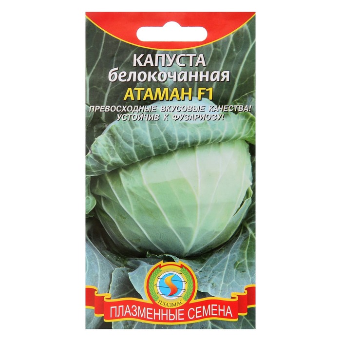 Семена Капуста б/к "Атаман" F1, 0,2 г 
Семена Капуста б/к "Атаман" F1, 0,2 г