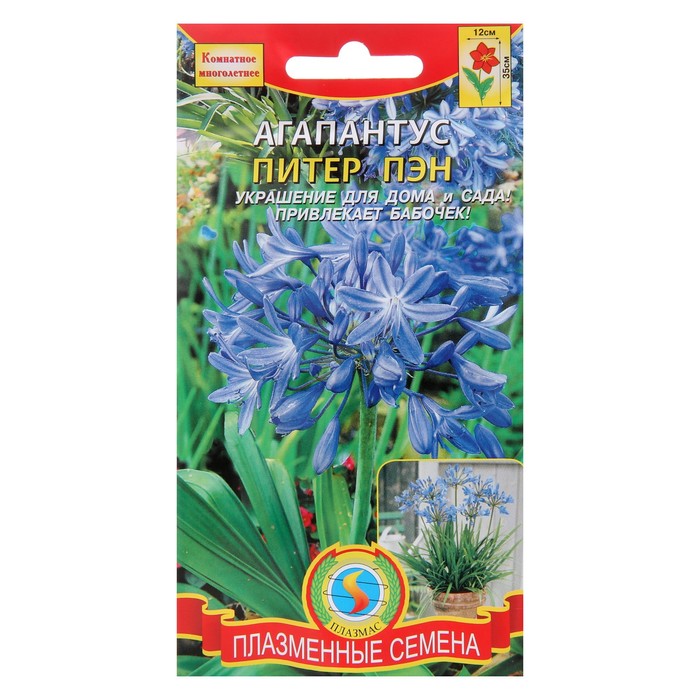 Семена цветов "Плазменные семена" Агапантус "Питер Пэн", 4 шт
Семена цветов "Плазменные семена" Агапантус "Питер Пэн", 4 шт