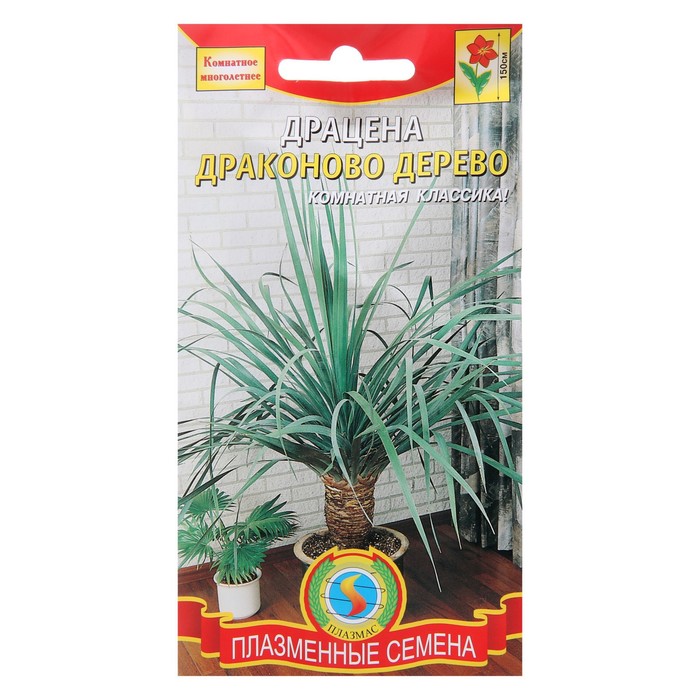 Семена цветов "Плазменные семена" Драцена "Драконово дерево", 2 шт
Семена цветов "Плазменные семена" Драцена "Драконово дерево", 2 шт