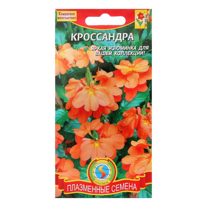 Семена цветов Кроссандра, 2 шт
Семена цветов Кроссандра, 2 шт