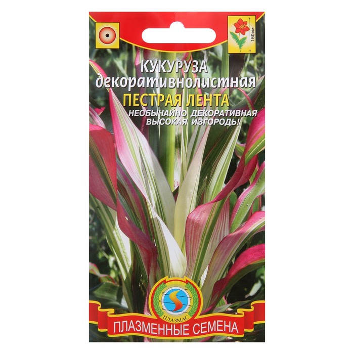Семена цветов Кукуруза декоративнолистная "Пестрая лента", 5 шт
Семена цветов Кукуруза декоративнолистная "Пестрая лента", 5 шт