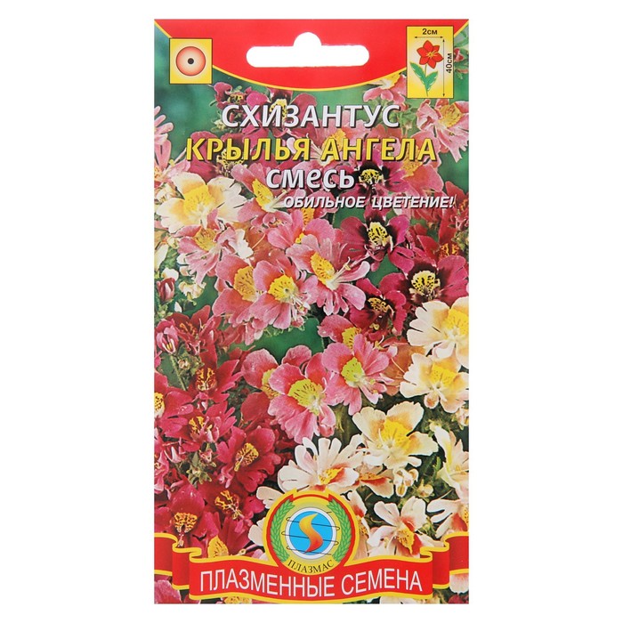 Семена цветов Схизантус "Крылья ангела", смесь, 0,1 г
Семена цветов Схизантус "Крылья ангела", смесь, 0,1 г