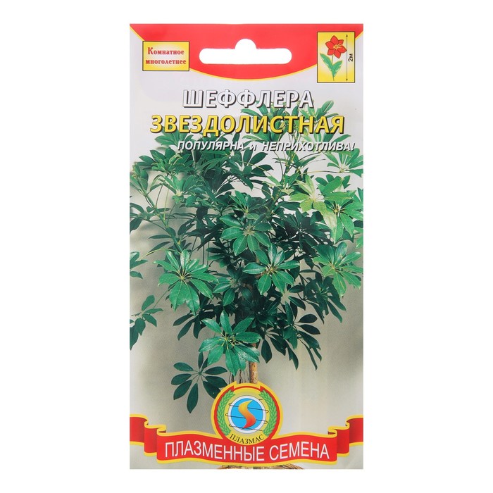 Семена цветов Шеффлера Звездолистная, 4 шт
Семена цветов Шеффлера Звездолистная, 4 шт