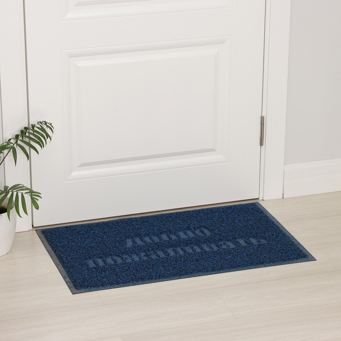 Коврик придверный «Добро пожаловать», 50×80 см, цвет синий
Коврик придверный «Добро пожаловать», 50×80 см, цвет синий