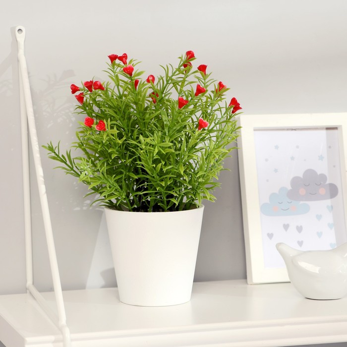 Бонсай "Трава с мелкими цветочками" 9,5х21 см, микс
Бонсай "Трава с мелкими цветочками" 9,5х21 см, микс