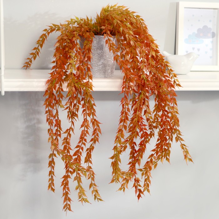 Бонсай "Ива свисающая" высота растения 50 см, (горшок h-9. d-9.5см) микс
Бонсай "Ива свисающая" высота растения 50 см, (горшок h-9. d-9.5см) микс