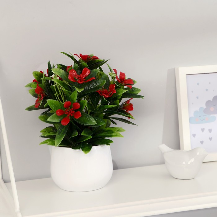 Бонсай "Зверобой кустарниковый" 9х20 см, микс
Бонсай "Зверобой кустарниковый" 9х20 см, микс