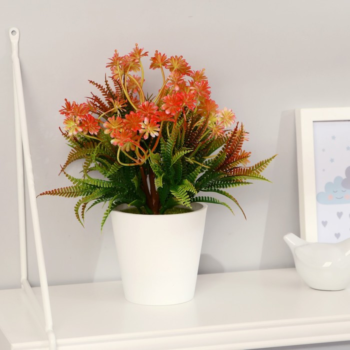 Бонсай "Агапантус" 9,5х23 см, микс
Бонсай "Агапантус" 9,5х23 см, микс