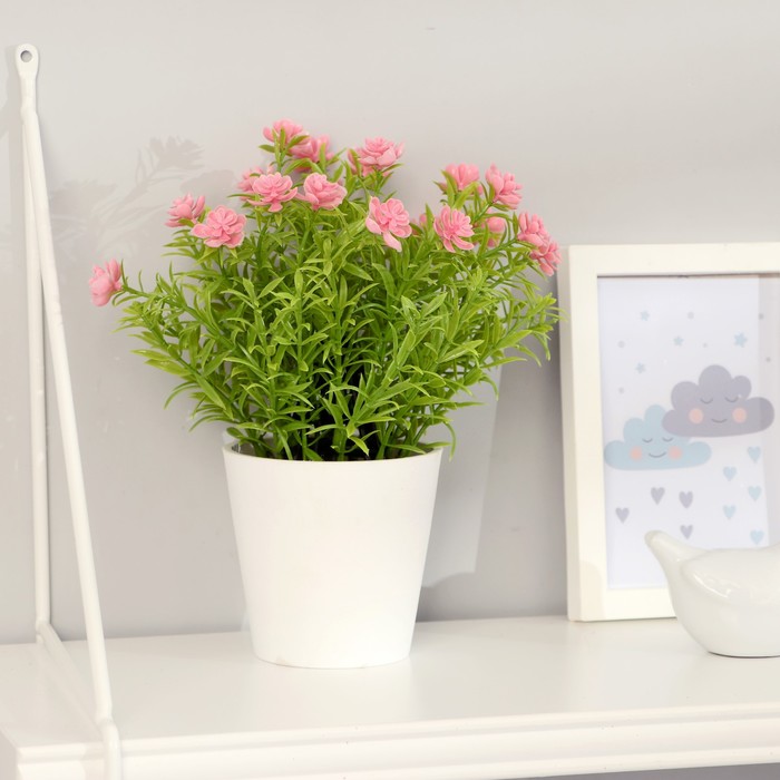 Бонсай "Герань садовая" 9,5х22 см, микс
Бонсай "Герань садовая" 9,5х22 см, микс