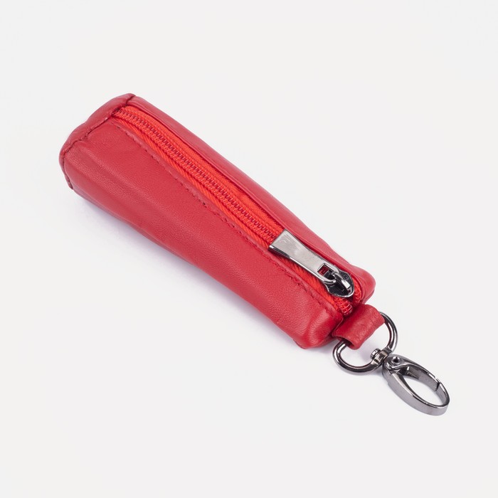 Ключница на молнии, длина 12 см, металлическое кольцо, цвет красный
Ключница на молнии, длина 12 см, металлическое кольцо, цвет красный