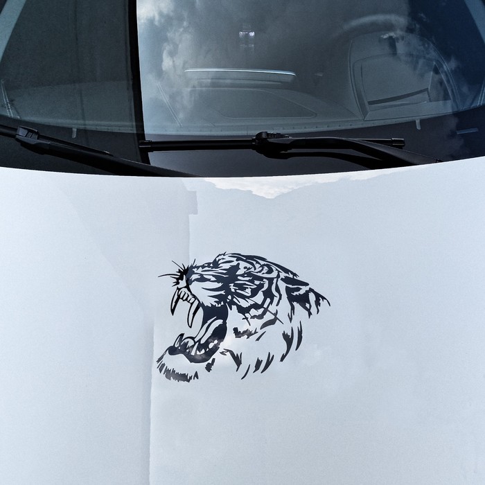 Наклейка на авто "Тигр", 28×28 см, черный
Наклейка на авто "Тигр", 28×28 см, черный