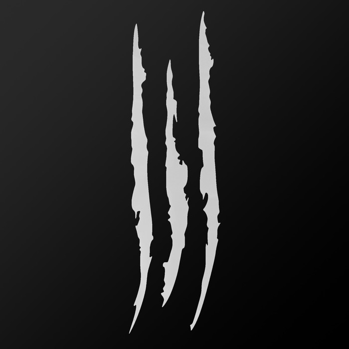 Светоотражающая наклейка "Царапины", 41×12 см, белый
Светоотражающая наклейка "Царапины", 41×12 см, белый