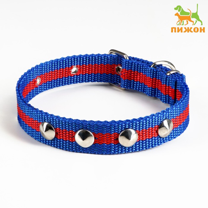Ошейник клепаный, 40,5 х 2 см, ОШ 26-34 см, полиэстер, сине-красный
Ошейник клепаный, 40,5 х 2 см, ОШ 26-34 см, полиэстер, сине-красный