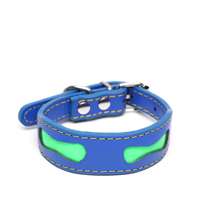 Ошейник-селедка со светоотражающими косточками, 32 х 2,5 см, синий
Ошейник-селедка со светоотражающими косточками, 32 х 2,5 см, синий