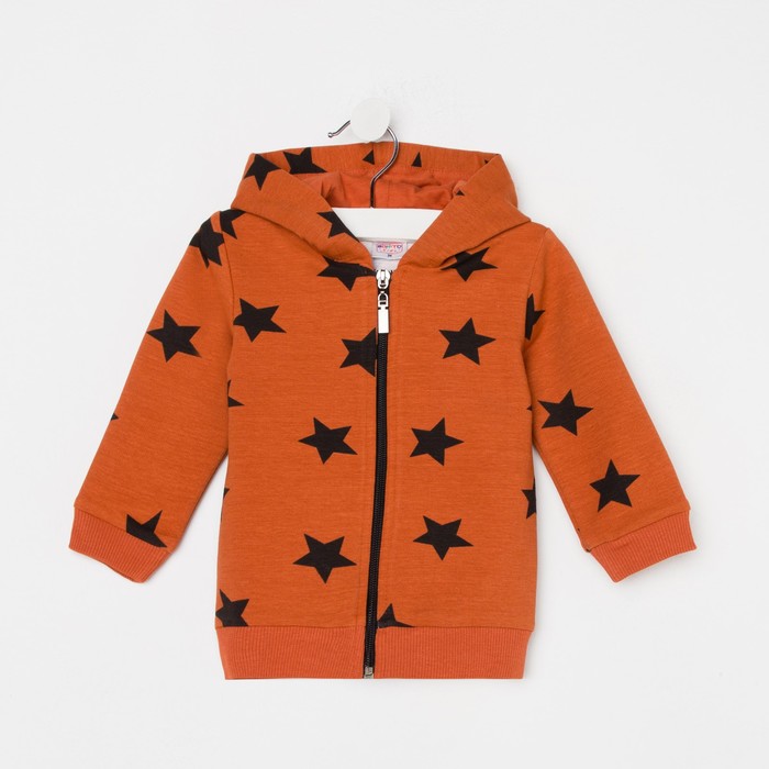 Толстовка для девочки, цвет кирпичный, рост 80 см
Толстовка для девочки, цвет кирпичный, рост 80 см