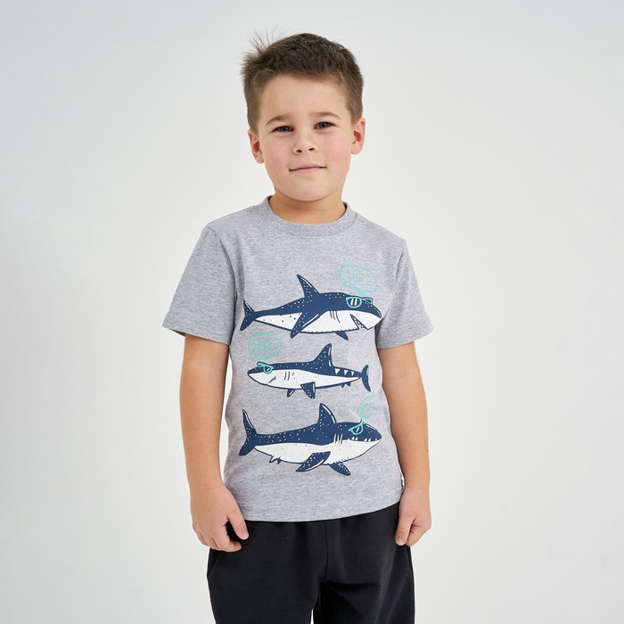 Футболка для мальчика, цвет серый, рост 116 см 
Футболка для мальчика, цвет серый, рост 116 см