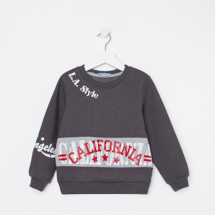 Свитшот для мальчика НАЧЁС, цвет графит, рост 110 см
Свитшот для мальчика НАЧЁС, цвет графит, рост 110 см