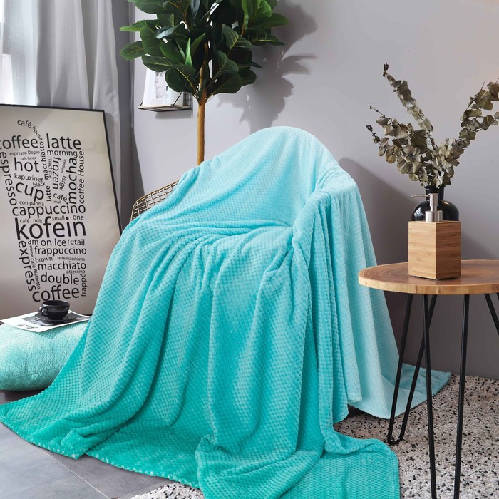 Плед Biscay waters, размер 150х200 см, цвет зеленый
Плед Biscay waters, размер 150х200 см, цвет зеленый