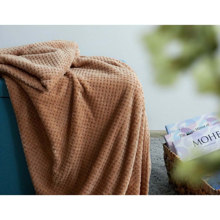 Плед Hot cappuccino, размер 200х200 см, цвет коричневый
Плед Hot cappuccino, размер 200х200 см, цвет коричневый