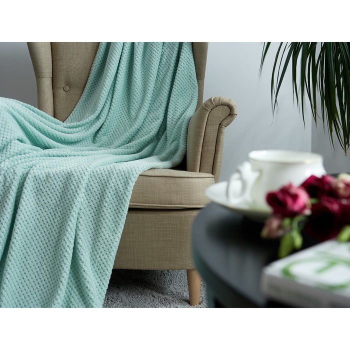 Плед Olive green, размер 200х240 см, цвет зеленый
Плед Olive green, размер 200х240 см, цвет зеленый