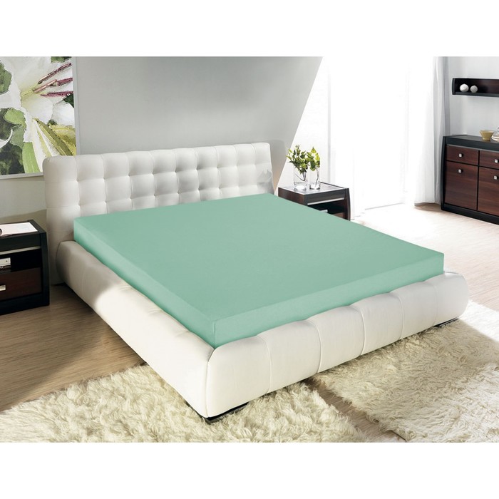 Простыня на резинке Mint, размер 90х200х20 см, цвет мята
Простыня на резинке Mint, размер 90х200х20 см, цвет мята