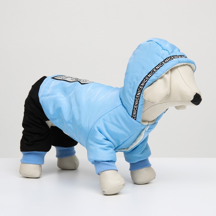 Комбинезон Dog Care, размер XL (ДС 34, ОШ 31, ОГ 47 см), голубой
Комбинезон Dog Care, размер XL (ДС 34, ОШ 31, ОГ 47 см), голубой