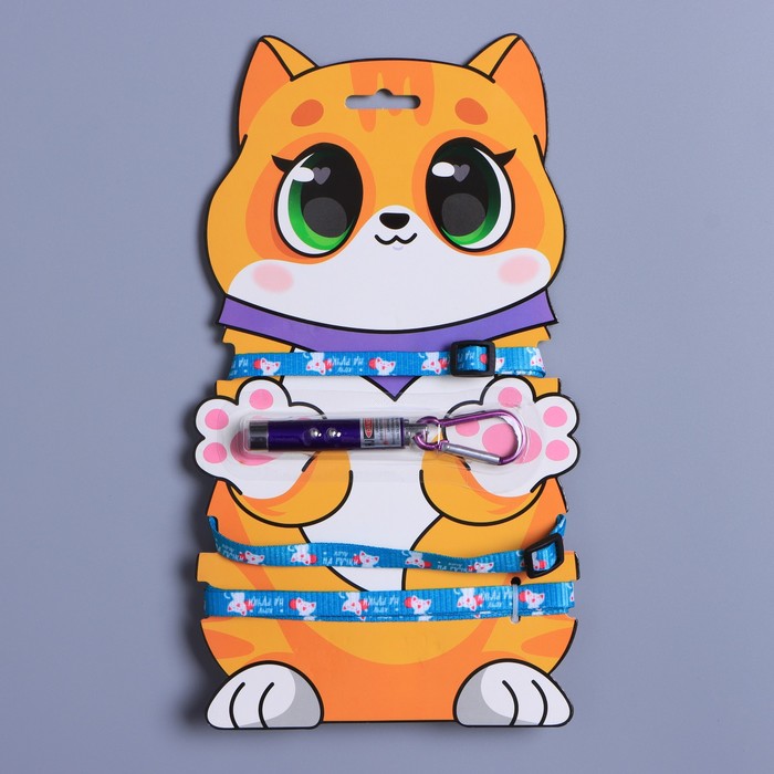 Шлейка для кошки с лазером «Хочу на ручки»
Шлейка для кошки с лазером «Хочу на ручки»