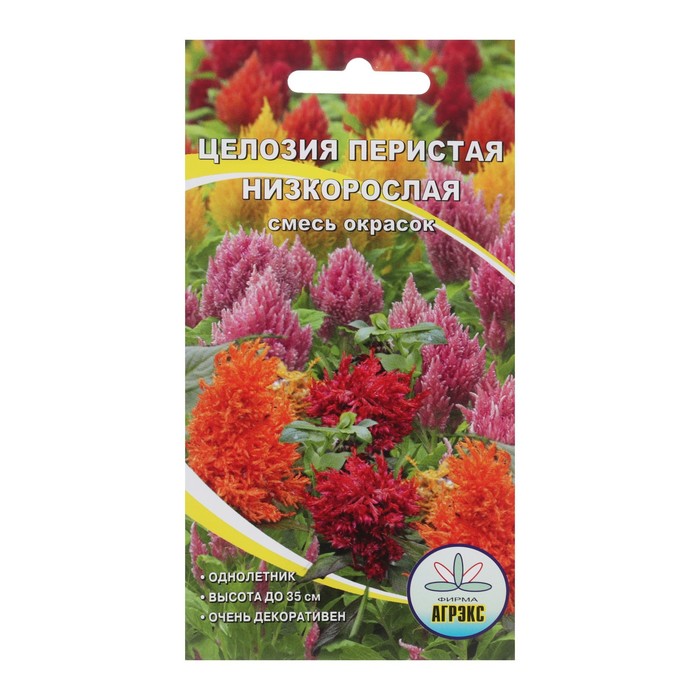 Семена Цветов однолетние Целозия "Смесь", перистая, низкорослая, 0,1 г
Семена Цветов однолетние Целозия "Смесь", перистая, низкорослая, 0,1 г