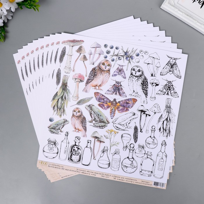 Бумага для скрапбукинга "Ведьмина изба" 30,5х30,5 см 300гр/м2
Бумага для скрапбукинга "Ведьмина изба" 30,5х30,5 см 300гр/м2