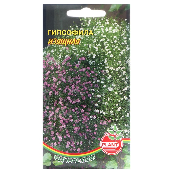 Семена цветов Гипсофила "Изящная", 0,1 г
Семена цветов Гипсофила "Изящная", 0,1 г