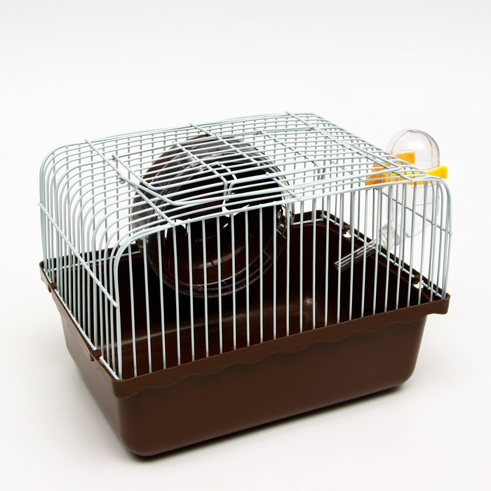 Клетка для грызунов 23 х 17 х 17 см, коричневая
Клетка для грызунов 23 х 17 х 17 см, коричневая
