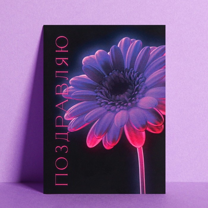 Открытка на каждый день «Поздравляю», 7,5 × 10 см
Открытка на каждый день «Поздравляю», 7,5 × 10 см