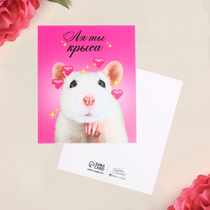 Открытка мини «Ля ты крыса», 8,8 х 10,7 см
Открытка мини «Ля ты крыса», 8,8 х 10,7 см