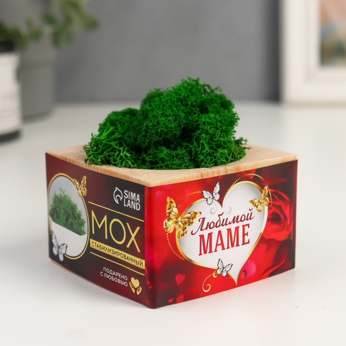 Кашпо со стабилизированным мхом "Любимой маме"
Кашпо со стабилизированным мхом "Любимой маме"