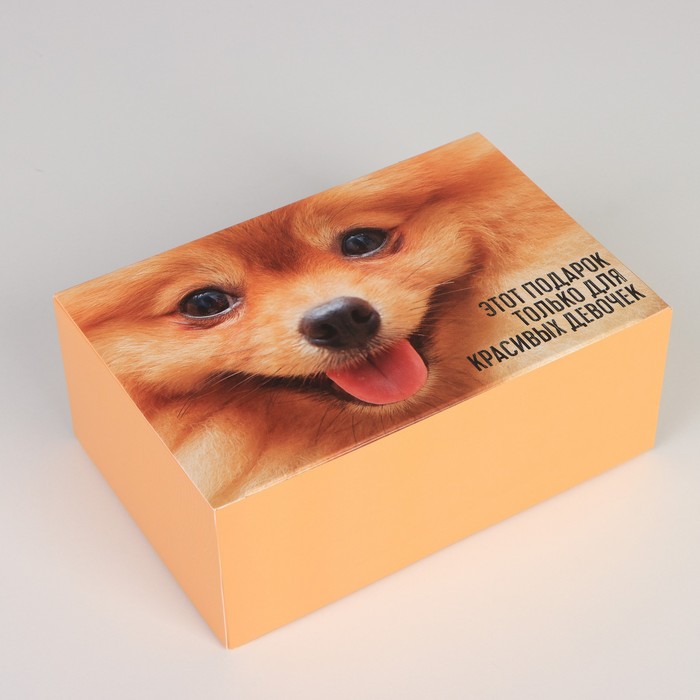 Коробка сборная «Только для красивых», 18 × 12 × 8 см
Коробка сборная «Только для красивых», 18 × 12 × 8 см