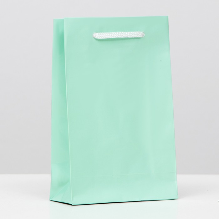 Пакет ламинированный, салатовый, 17,5 х 11,5 х 5 см
Пакет ламинированный, салатовый, 17,5 х 11,5 х 5 см