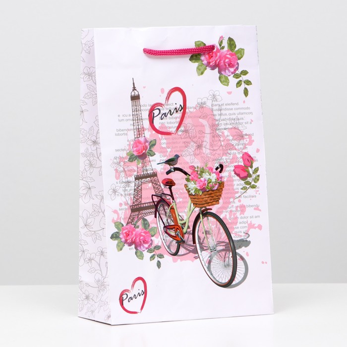 Пакет ламинированный "Франция", 26,5 х 16,5 х 7 см
Пакет ламинированный "Франция", 26,5 х 16,5 х 7 см