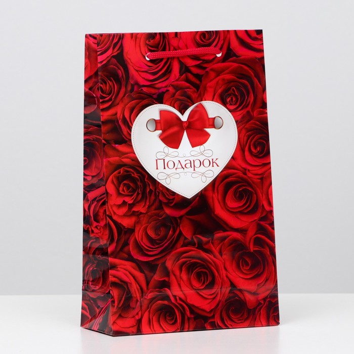 Пакет ламинированный "Подарок", 26,5 х 16,5 х 7 см 
Пакет ламинированный "Подарок", 26,5 х 16,5 х 7 см
