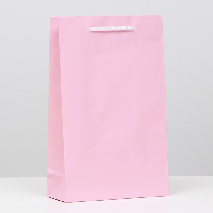 Пакет ламинированный, розовый, 26,5 х 16,5 х 7 см
Пакет ламинированный, розовый, 26,5 х 16,5 х 7 см