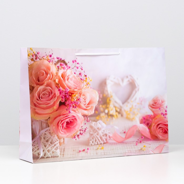 Пакет ламинированный "Нежный букет", 38 х 53,5 х 13 см
Пакет ламинированный "Нежный букет", 38 х 53,5 х 13 см