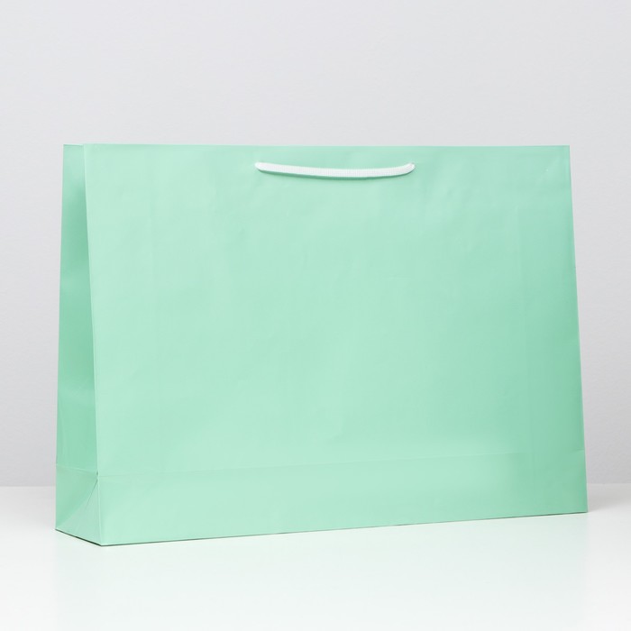 Пакет ламинированный, зелёный, 38 х 53,5 х 13 см
Пакет ламинированный, зелёный, 38 х 53,5 х 13 см