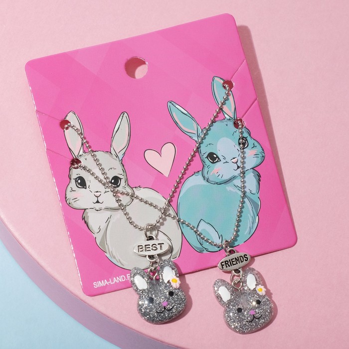 Кулоны неразлучники "Выбражулька" блестящие зайки, цвет серо-белый в серебре, 45 см
Кулоны неразлучники "Выбражулька" блестящие зайки, цвет серо-белый в серебре, 45 см