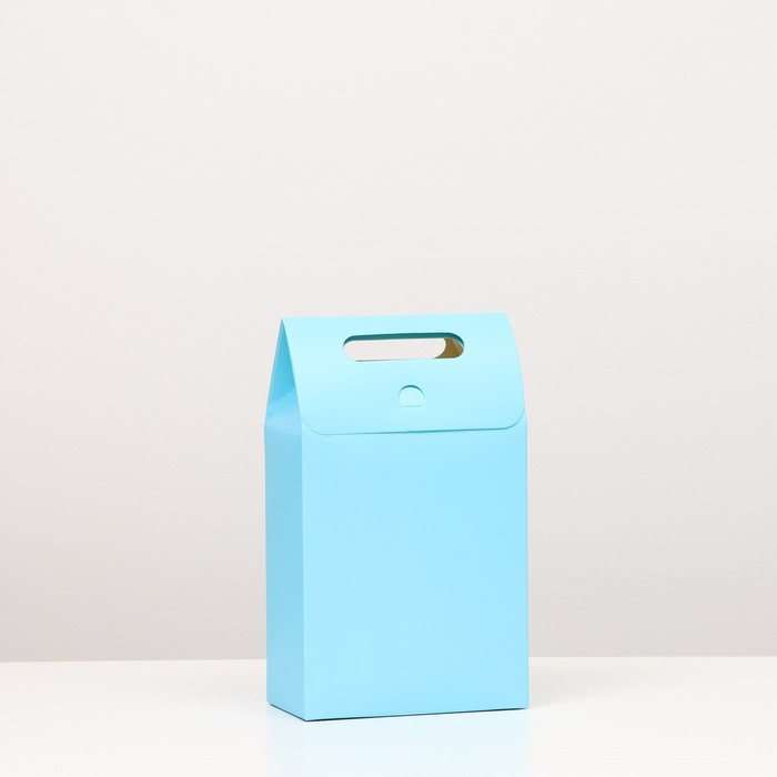 Коробка-пакет с ручкой, голубая, 27 х 16 х 9 см
Коробка-пакет с ручкой, голубая, 27 х 16 х 9 см