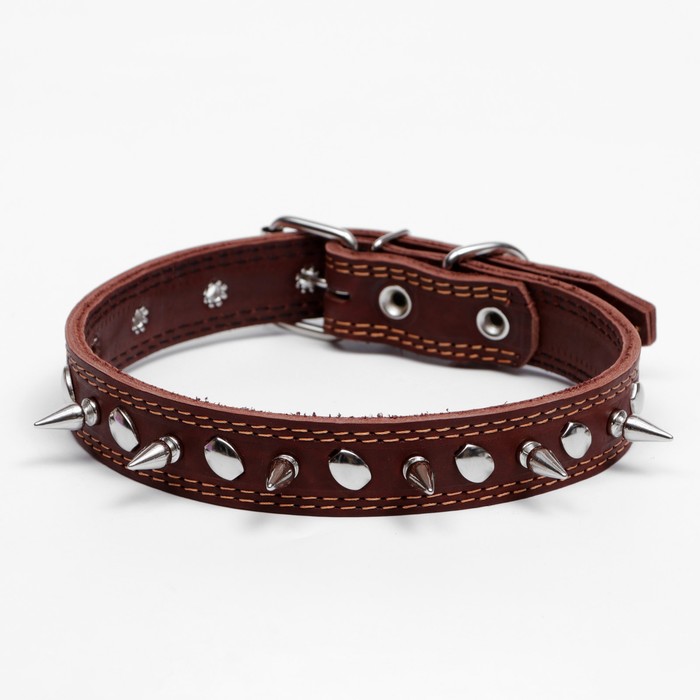 Ошейник кожаный двухслойный шипованный, 63 х 3 см, ОШ 40-55 см, коричневый
Ошейник кожаный двухслойный шипованный, 63 х 3 см, ОШ 40-55 см, коричневый