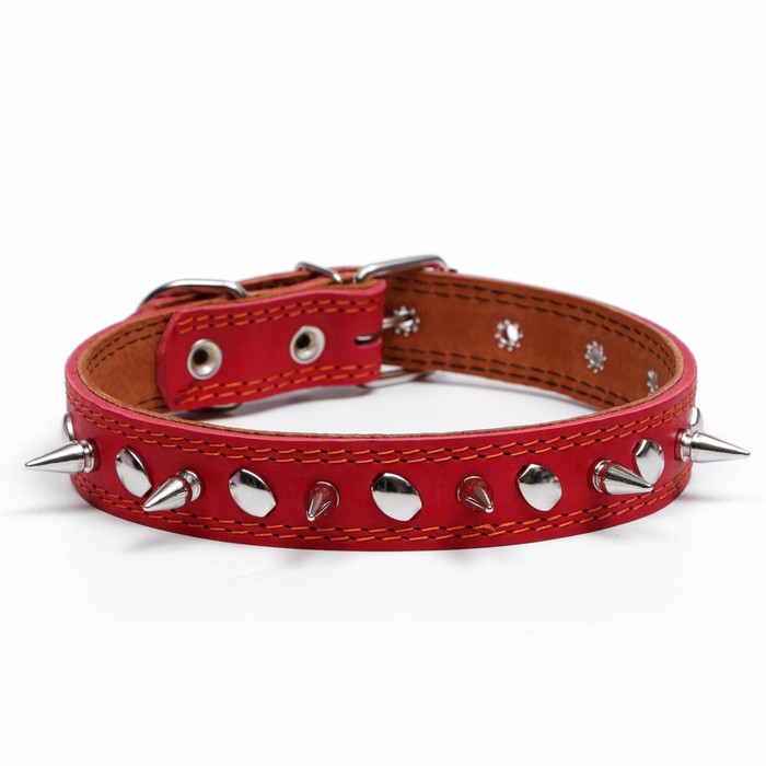 Ошейник кожаный двухслойный шипованный, 63 х 3 см, ОШ 40-55 см, красный
Ошейник кожаный двухслойный шипованный, 63 х 3 см, ОШ 40-55 см, красный