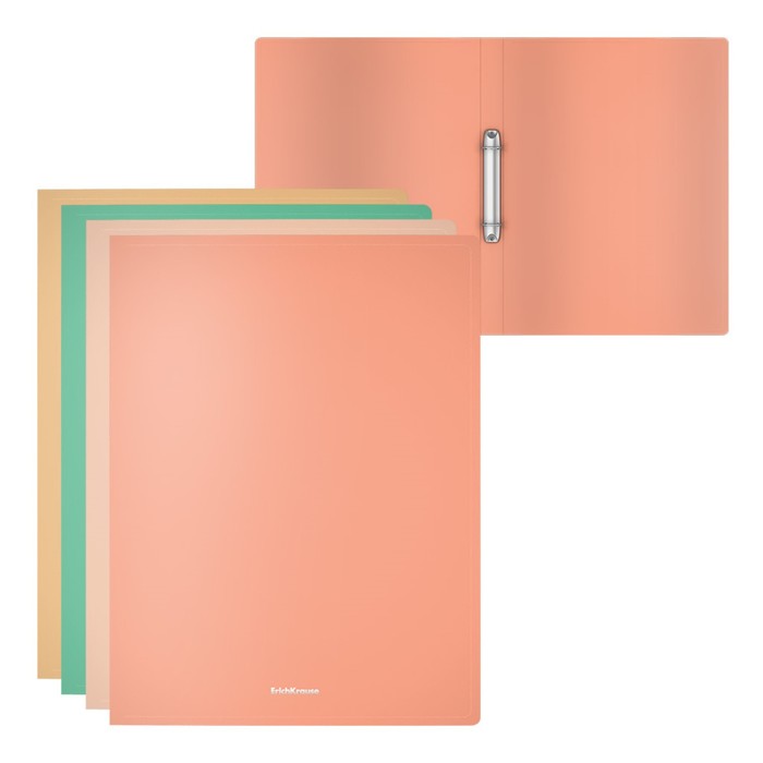 Папка на 2 кольцах A4, ErichKrause Matt Powder, 24 мм, 600 мкм, микс
Папка на 2 кольцах A4, ErichKrause Matt Powder, 24 мм, 600 мкм, микс