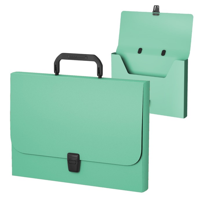 Папка-портфель А4+, 1 отделение, 700 мкм, ErichKrause Matt Powder, до 350 листов, пыльно-мятная
Папка-портфель А4+, 1 отделение, 700 мкм, ErichKrause Matt Powder, до 350 листов, пыльно-мятная