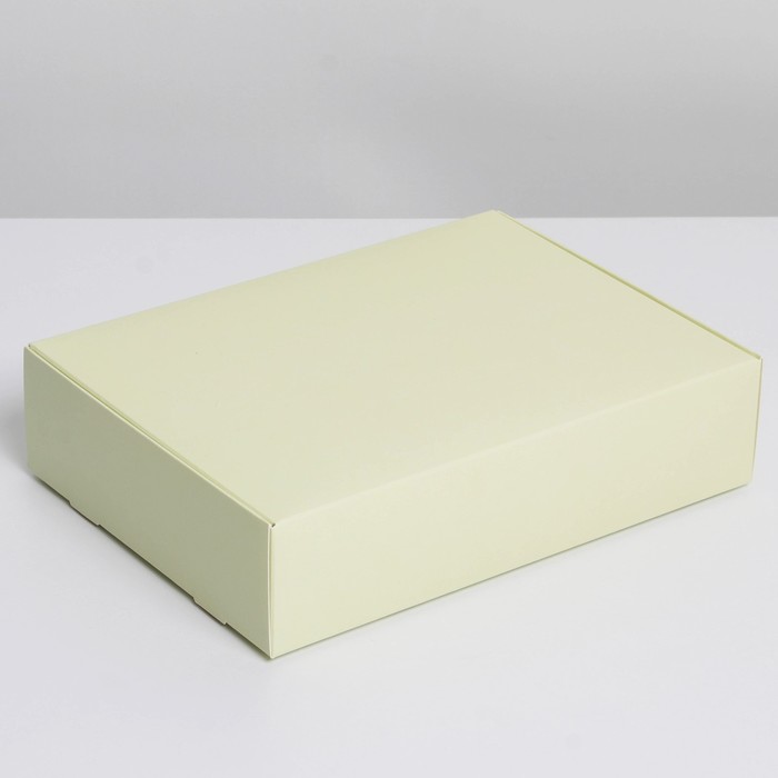 Коробка складная «Желтая», 21 х 15 х 5 см
Коробка складная «Желтая», 21 х 15 х 5 см
