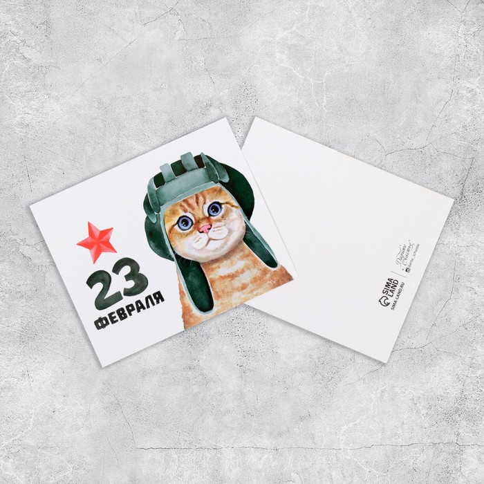 Открытка мини «Защитнику», котенок, 8,8 х 10,7 см
Открытка мини «Защитнику», котенок, 8,8 х 10,7 см