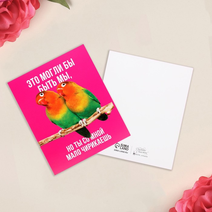 Открытка мини «Парочка», попугаи, 8,8 х 10,7 см
Открытка мини «Парочка», попугаи, 8,8 х 10,7 см